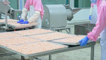 冻干代工与狗粮猫粮ODM 山东粮食加工食品生产厂家的全链路合作指南