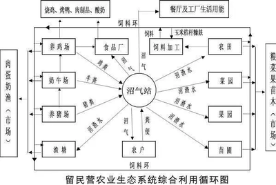 世界生态农业典范 粮食加工食品生产的可持续之路