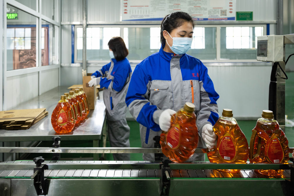 从“一木独大”到“三绿并举” 粮食加工食品生产的绿色转型之路