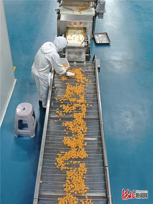 一粒粮食的旅程 探访邱县河北康贝尔食品生产车间