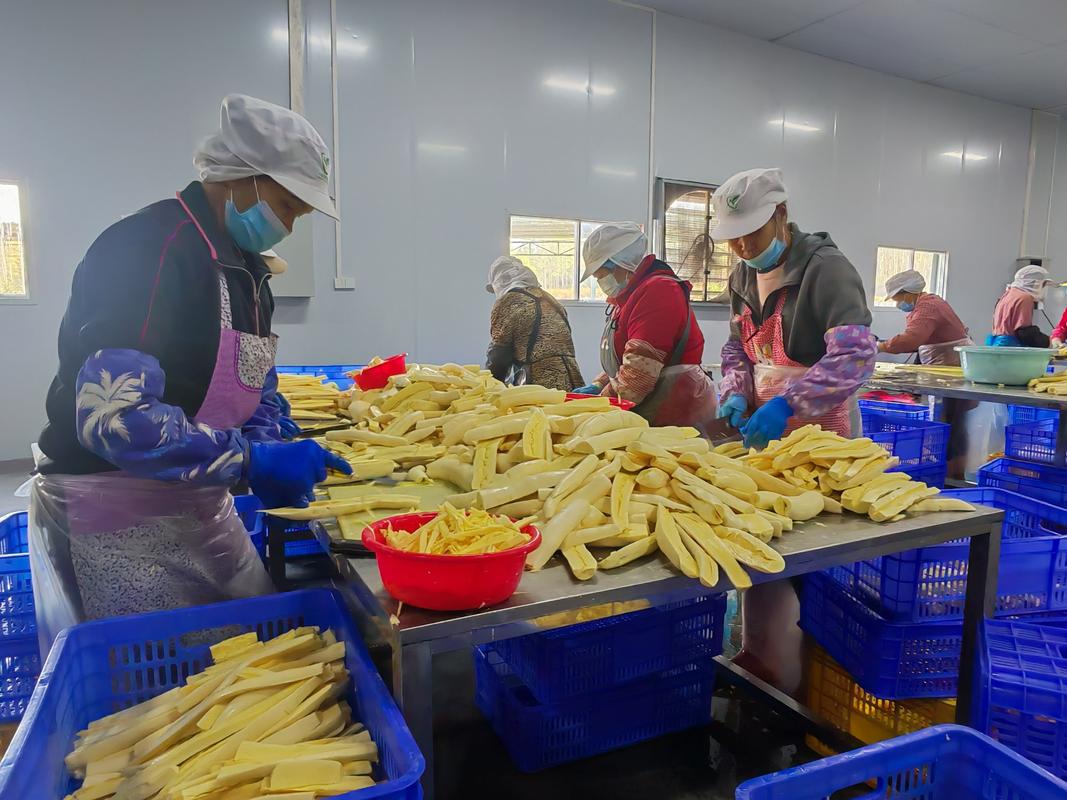 信都镇 农产品加工车间架起联农带农增收路